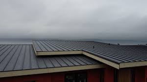 Best Cold Roofs  in Berthoud, CO